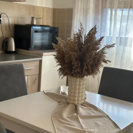 Lilyy * Leskovac (Jablanica)